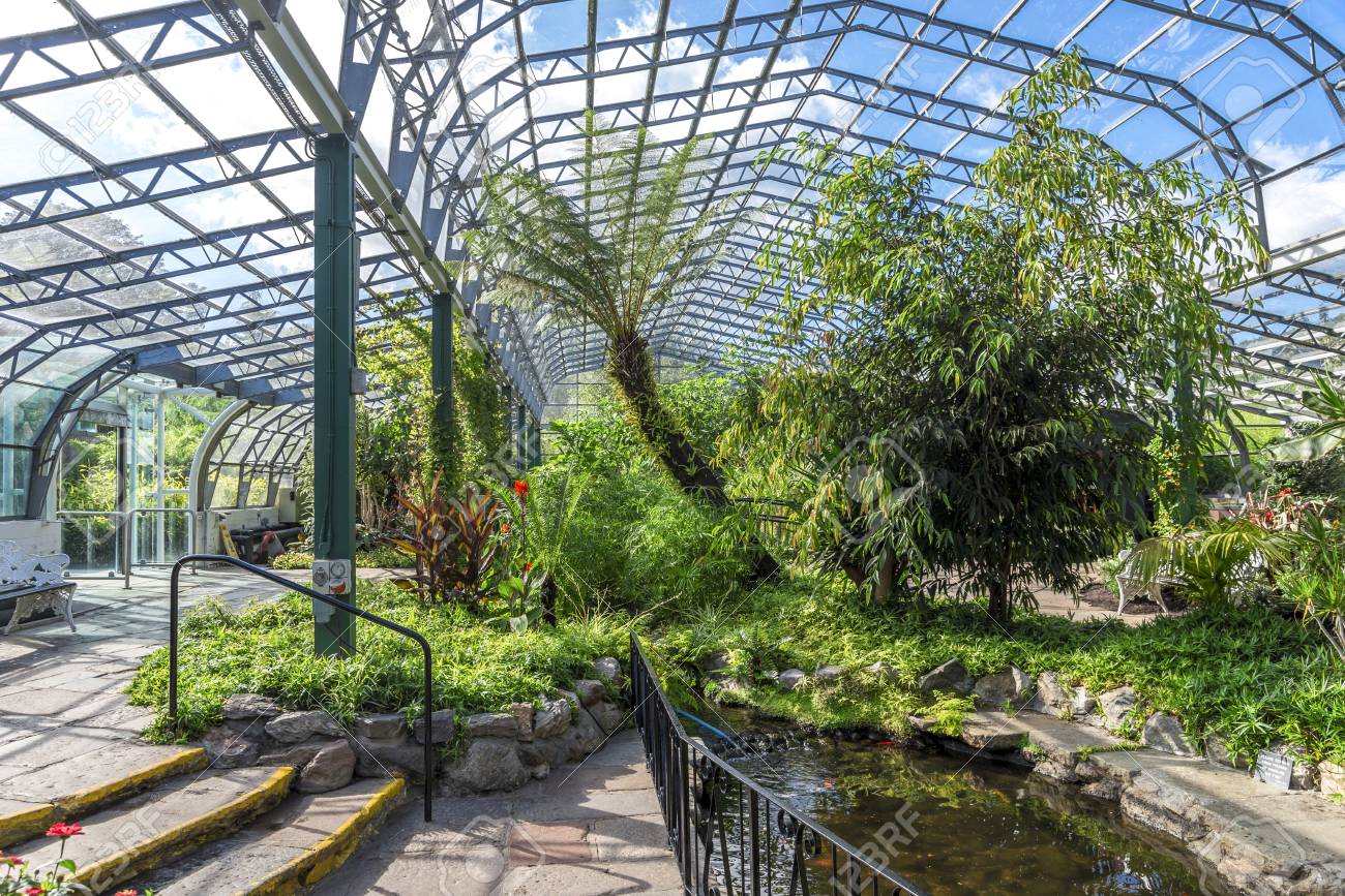 Inside Of David Welch Winter Gardens Near The Main Entrance In Duthie Park, Aberdeen, Scotland Stock Photo, Picture And Royalty Free Image. Image 110739457.