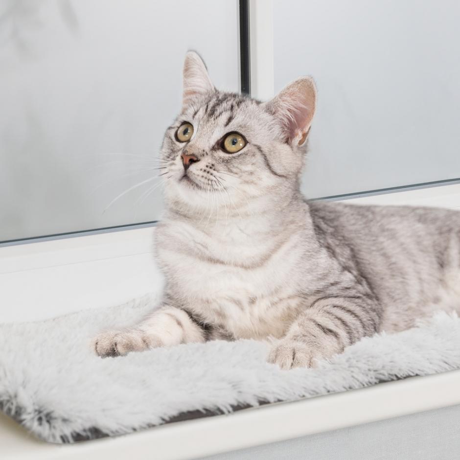 Trixie Harvey cat cushion for windowsill - 90x28 cm