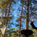 Unleash Adventure at Go Ape Bracknell: 5 Thrilling Activities in Swinley Forest