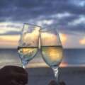 Flavour Meets Tradition: A Guide to Outstanding Wines from MAJESTIC