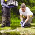 RSPB: Safeguarding Vital Habitats and Securing Nature’s Future