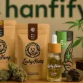 Lucky Hemp Cannabis-Stecklinge: Hochwertige Genetik für zuverlässiges und gleichmäßiges Wachstum