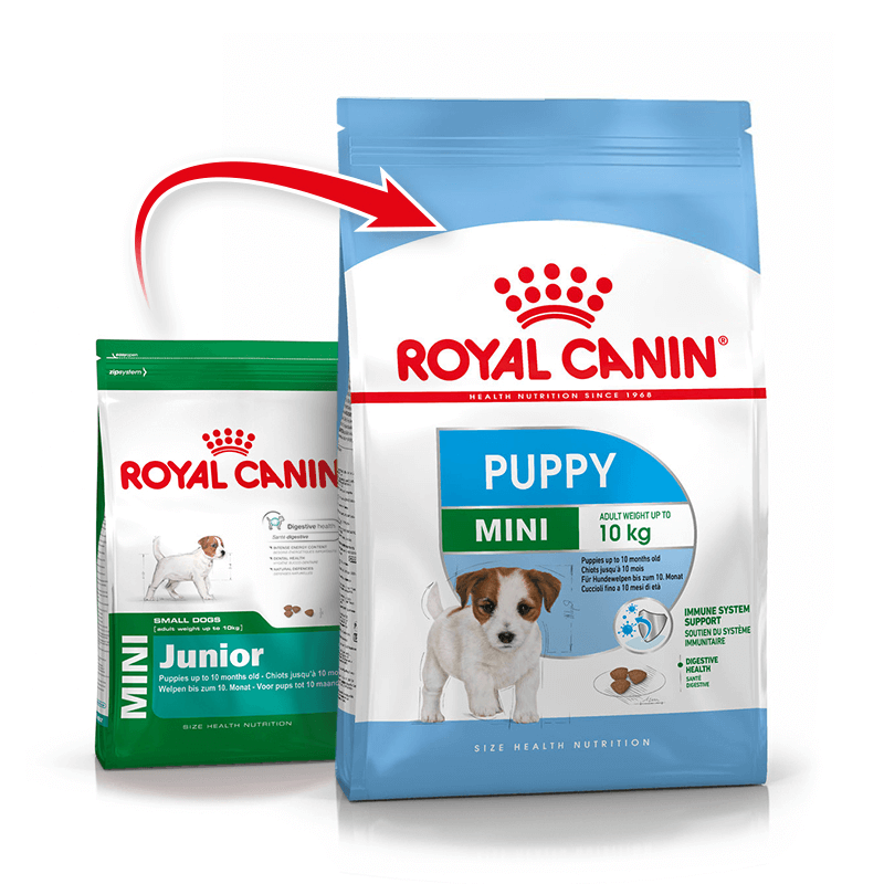 Royal Canin Mini Junior 8 kg pakuotė