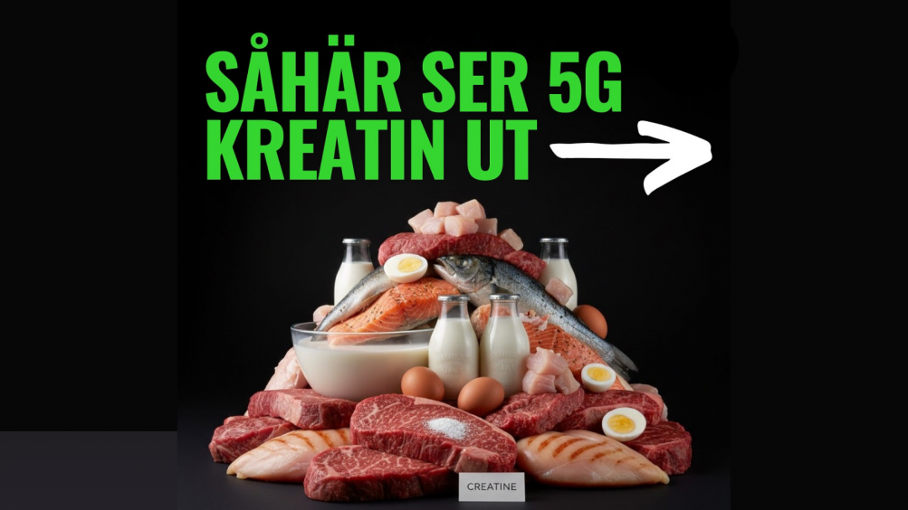 Illustration av kreatinrika livsmedel och kreatinpulver