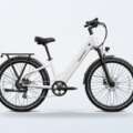 Puckipuppy Fall E-Bike Buying Guide: Which Model Fits Your Ride?