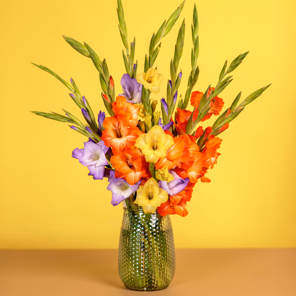Painted Skies bouquet of tall British-grown gladioli