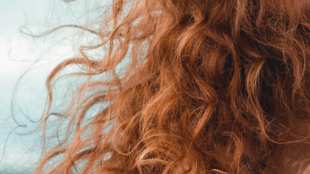 Curly hair shown in a Faith In Nature hair care editorial