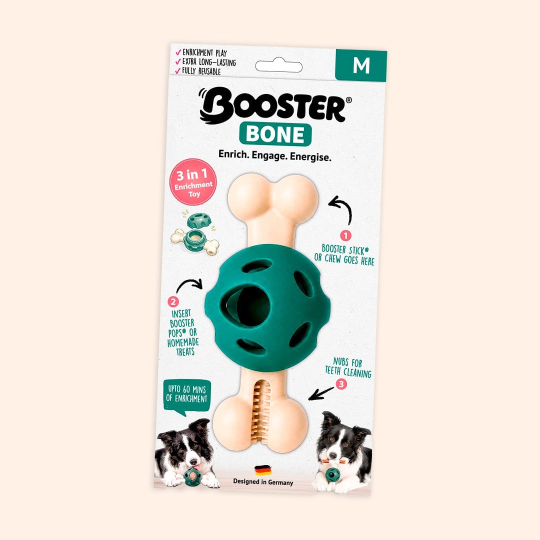 Verpackung des Fidelis Booster Bone