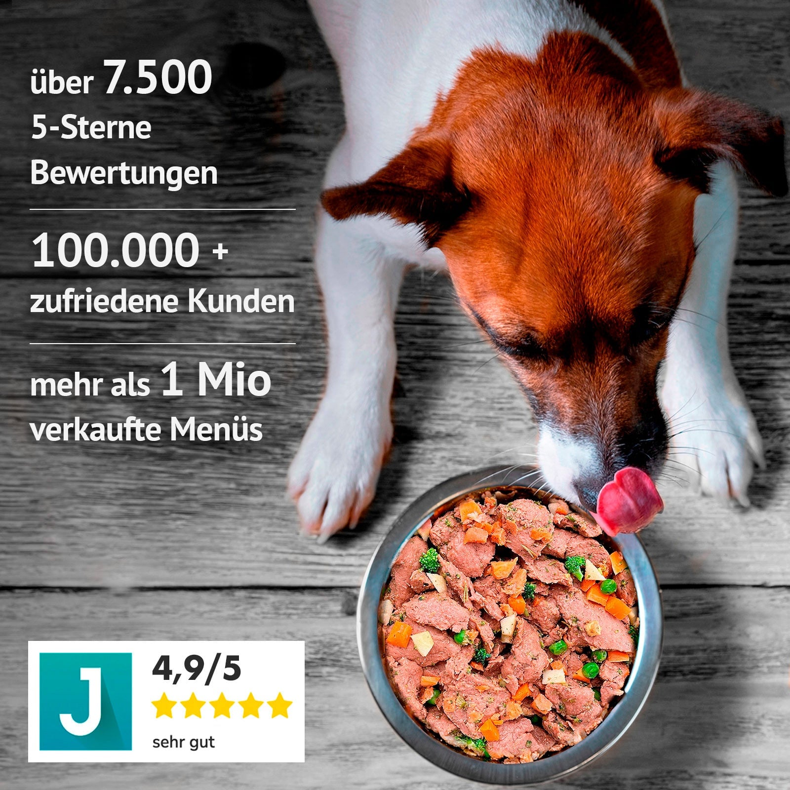 Hund frisst Fidelis Futter aus einem Napf