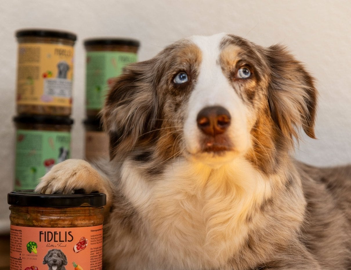 Fidelis Rind Menü im Glas als Produktaufnahme