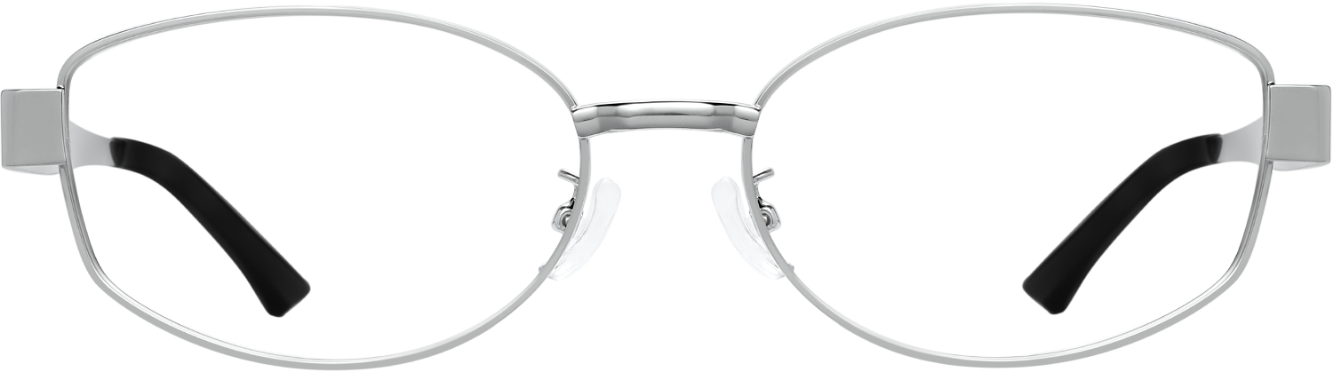 Metal frame eyeglasses shown on a white background