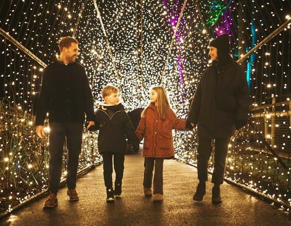 Illuminated light trail at Port Lympne