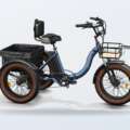 Puckipuppy Electric Bike Review: Strengths, Limits and Best Fits