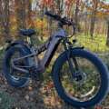 Puckipuppy E-Bike Buying Guide: Which Model Fits Your Route?